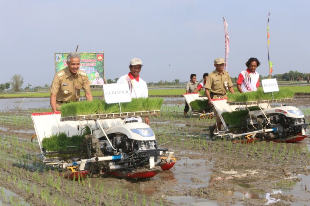 Modernisasi Pertanian Dorong Generasi Muda Terjun Ke Sawah Pemerintah