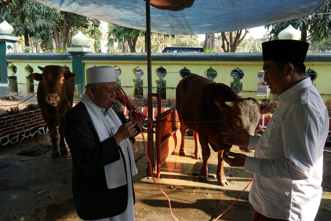 Bupati Magelang Serahkan Hewan kurban