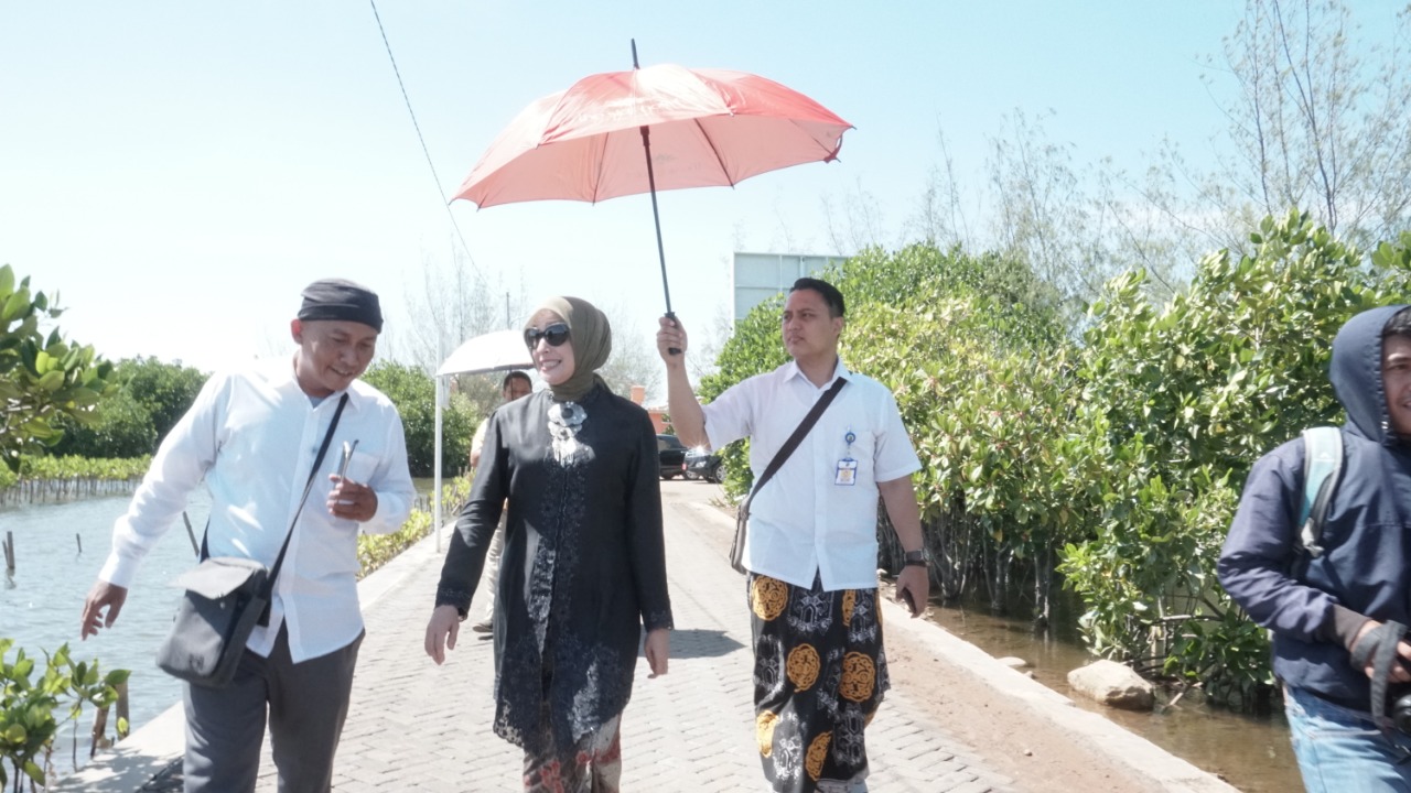 DPUPR Segera Tangani Sandbag Geotube Rusak