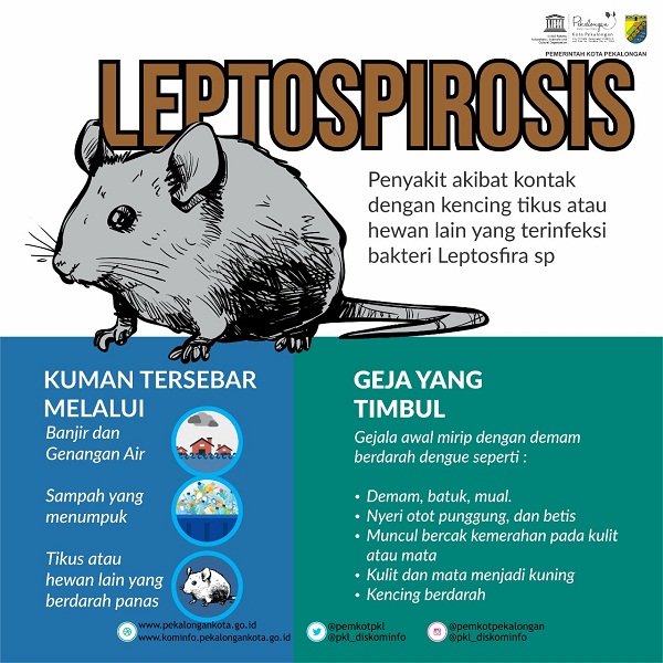 Musim Hujan Waspadai Penyakit Leptospirosis Pemerintah Provinsi Jawa