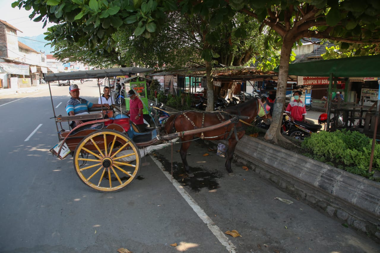 Kusir Andong di Borobudur pun Siap Terapkan Protokol Kesehatan