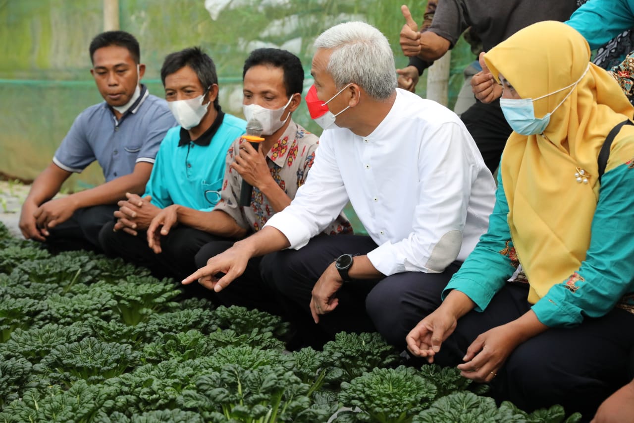 Ganjar ke Merbabu, Tengok Petani Organik Pemasok Hotel Berbintang - Pemerintah Provinsi Jawa Tengah