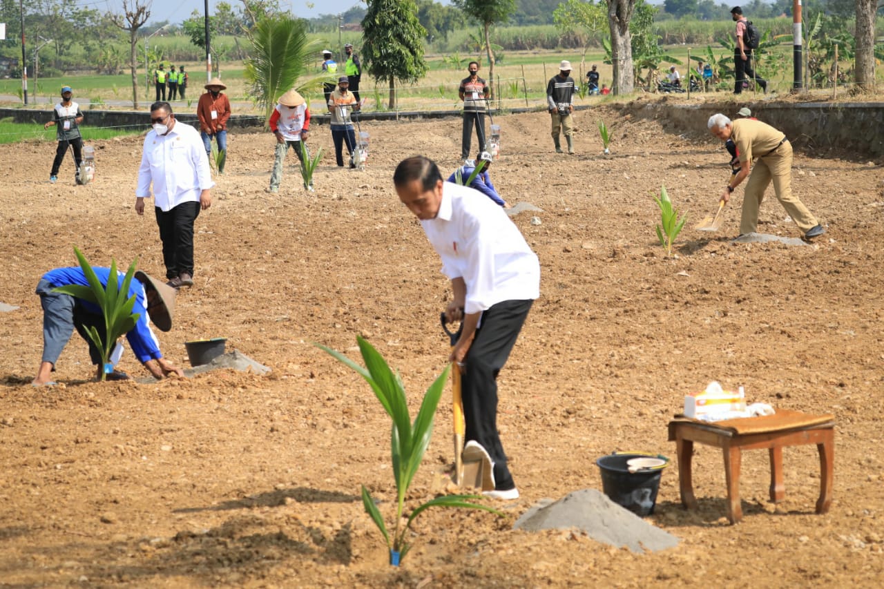 Assisted by Early Coconut Seeds, residents of Giriroto: Thank you Pak Jokowi and Pak Ganjar