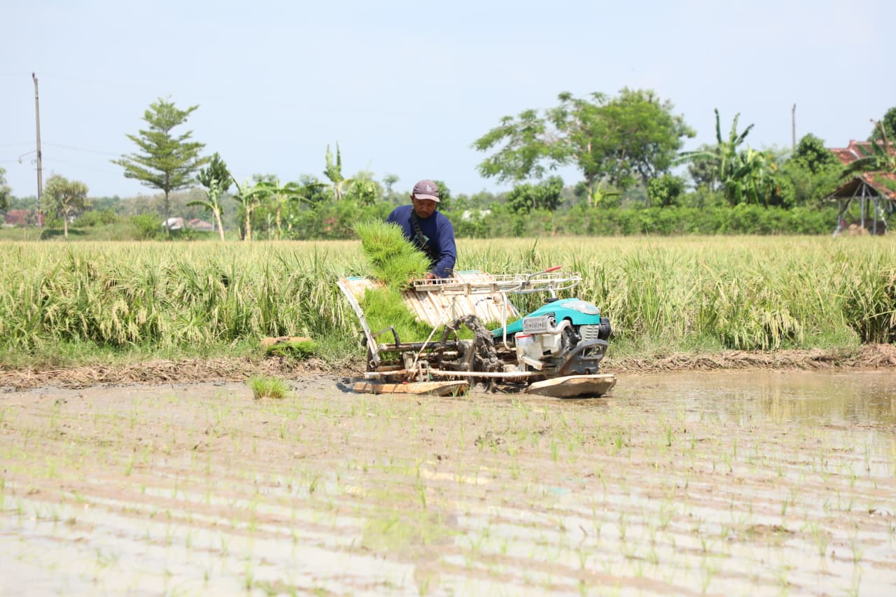 Dibantu Alsintan, Petani Rembang Tenang Hadapi Ancaman El-Nino “Godzilla”