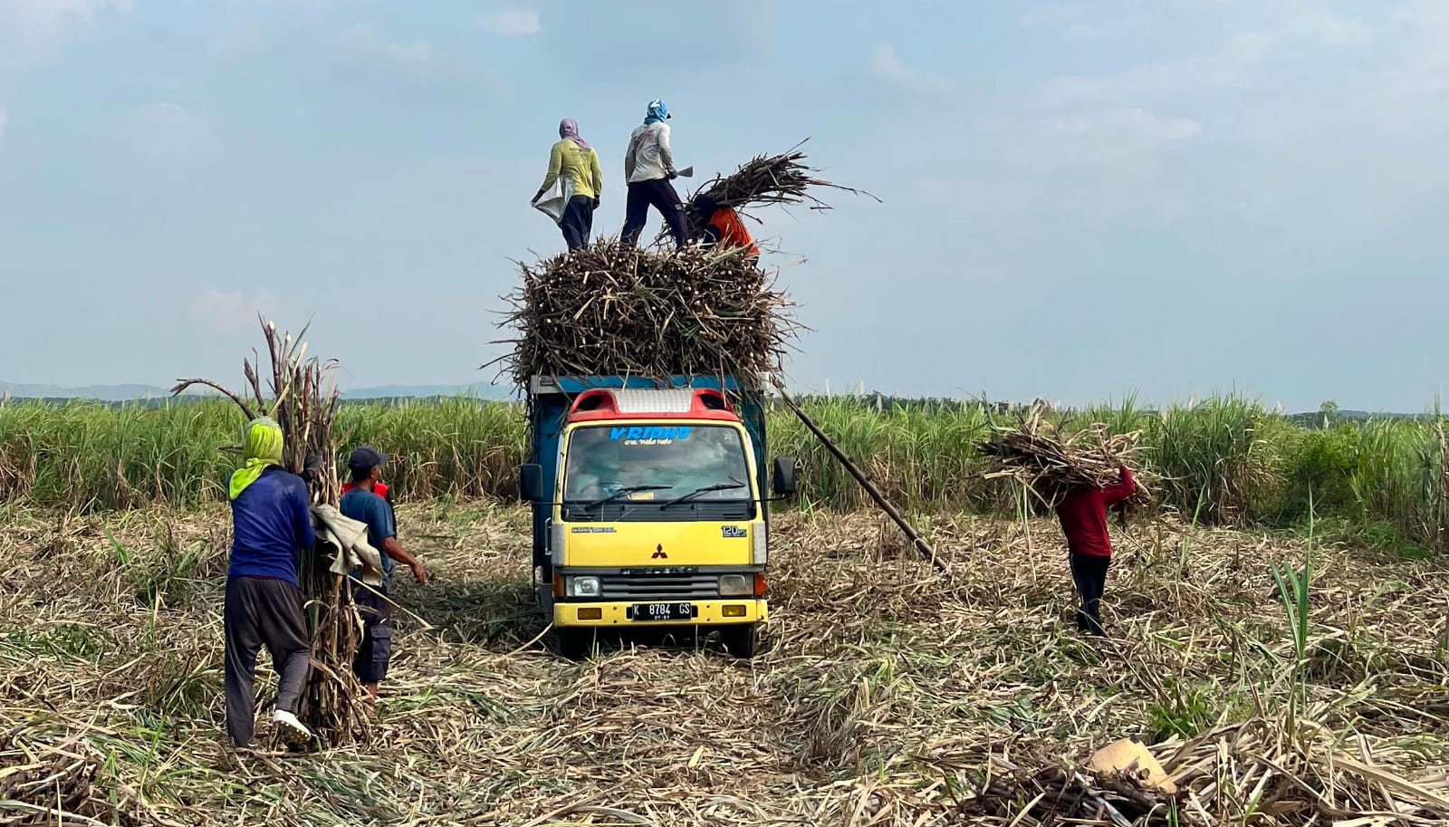 Produktivitas Ditarget Meningkat, Pemkab Rembang Perkuat Pengembangan Tebu