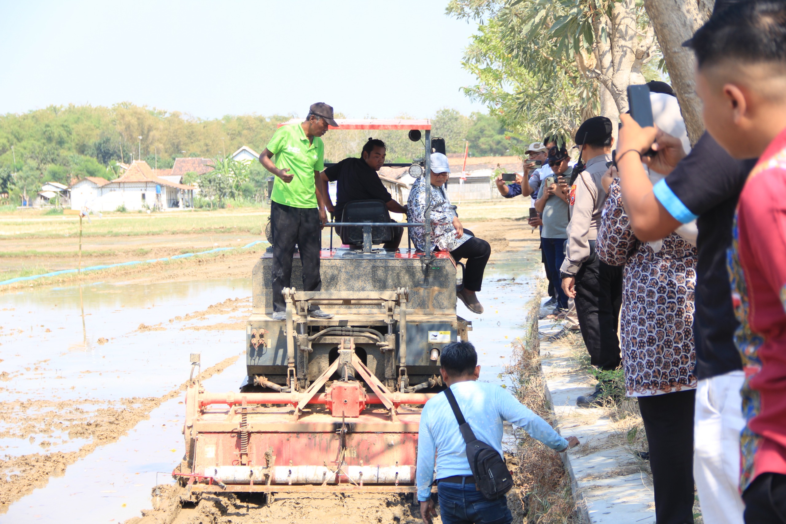 Rembang Terapkan Metode PM-AAS, Produktivitas Padi Berpotensi Naik Jadi 10 Ton per Hektare